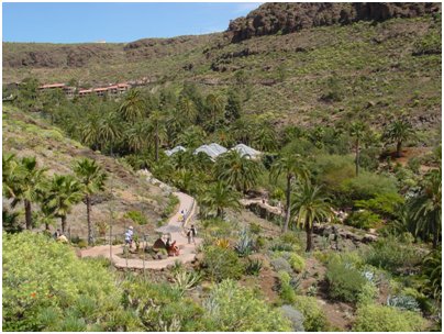 Espanja Kanariansaaret Palmitos Park luonnonpuisto Gran Canaria matkat kuvat