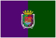 Malagan kaupungin lippu